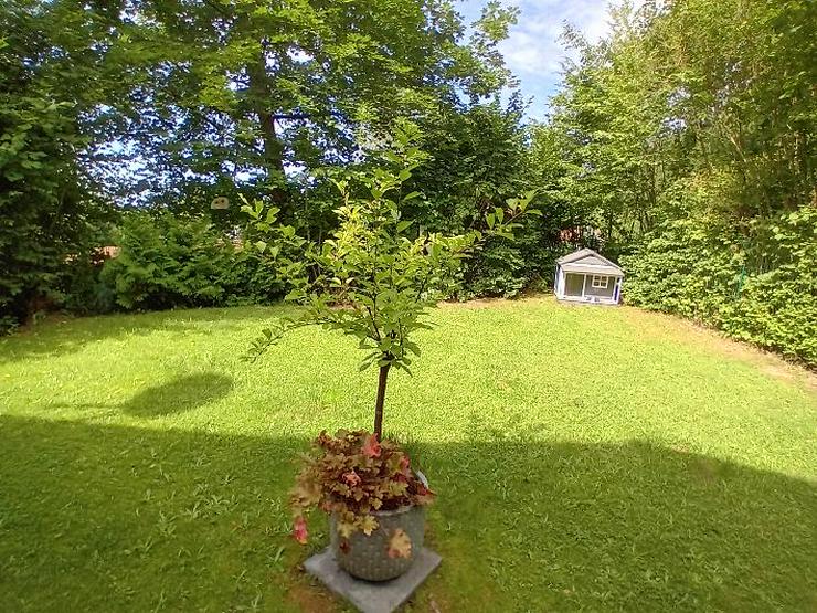 Bild 13: Ferienhaus Mau und Wau - Waldhessen