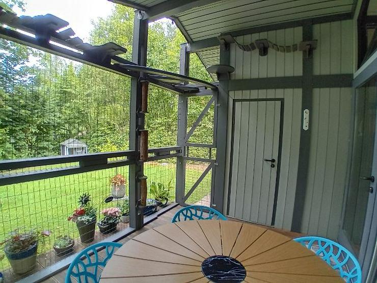 Bild 11: Ferienhaus Mau und Wau - Waldhessen