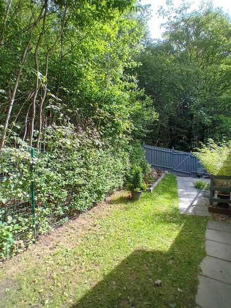 Bild 15: Ferienhaus Mau und Wau - Waldhessen