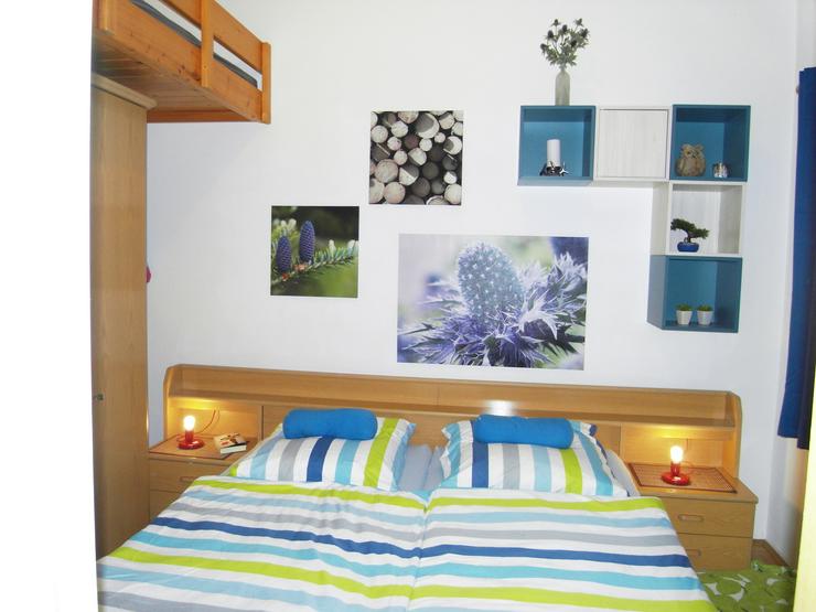 Bild 11: Ferien mit Mau & Wau - Luftkurort Falkenstein - Bayerischer Wald