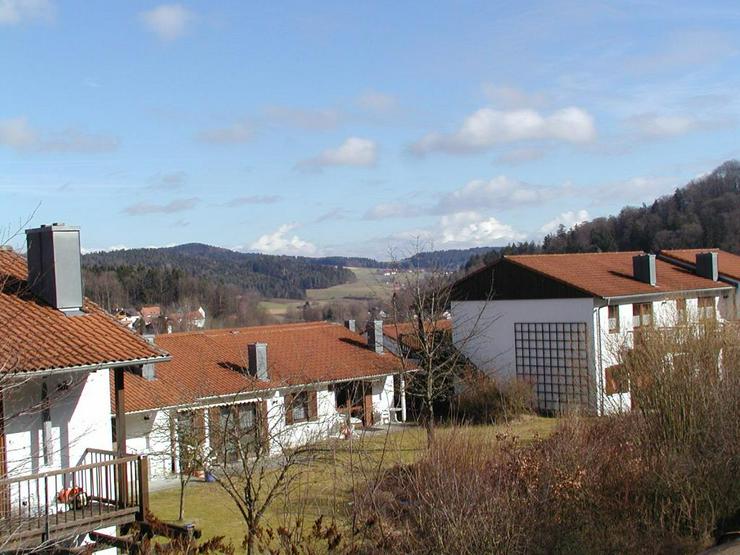 Bild 13: Ferien mit Mau & Wau - Luftkurort Falkenstein - Bayerischer Wald