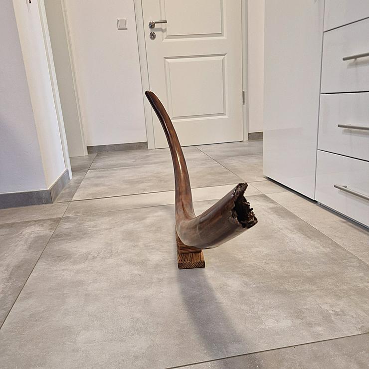 Bild 2: Mammutstoßzahn,Mammoth Tusk,Mammutzahn,Mammut,Eiszeit Fossilien