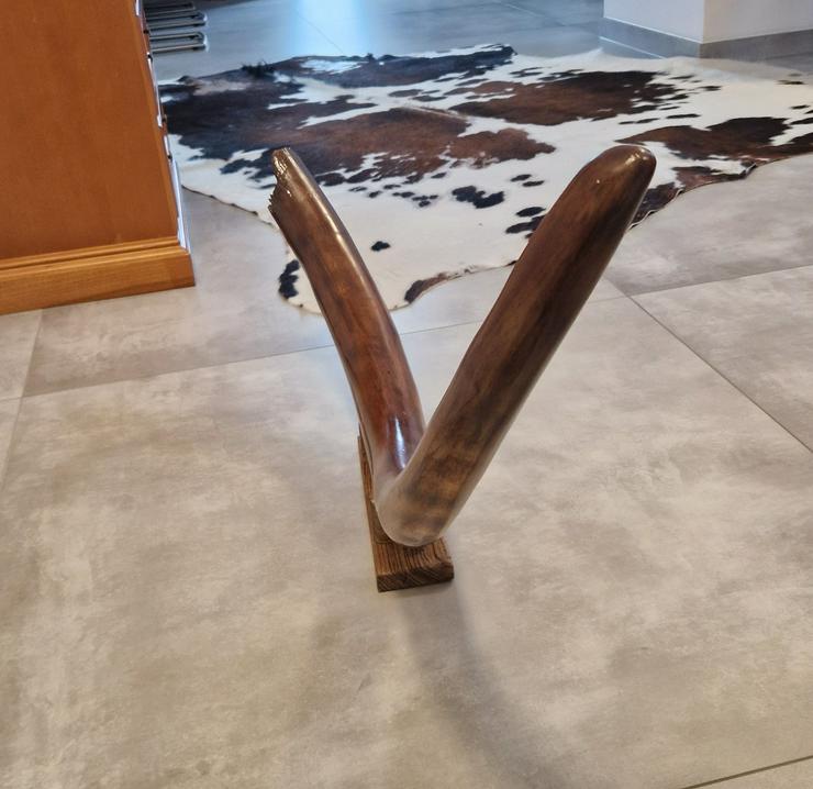 Mammutstoßzahn,Mammoth Tusk,Mammutzahn,Mammut,Eiszeit Fossilien - Weitere - Bild 3