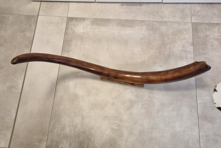 Bild 4: Mammutstoßzahn,Mammoth Tusk,Mammutzahn,Mammut,Eiszeit Fossilien