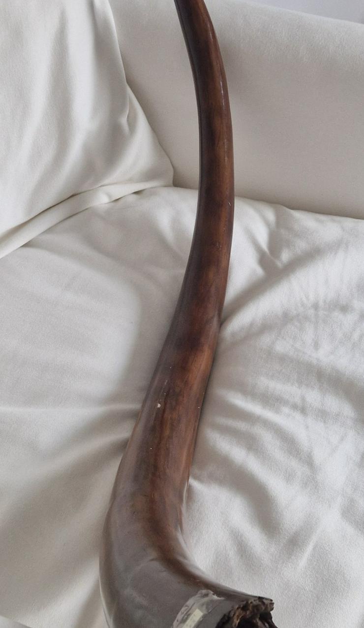 Mammutstoßzahn,Mammoth Tusk,Mammutzahn,Mammut,Eiszeit Fossilien