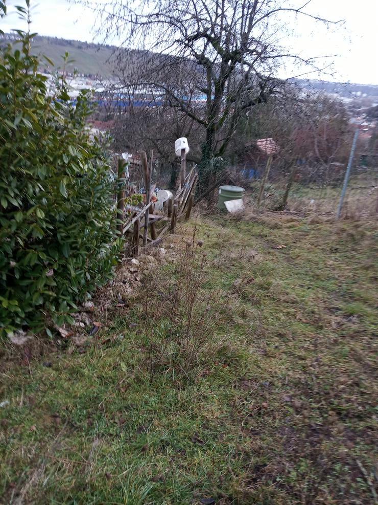 Bild 2: Häuschen mit überdachter Terrassen und offener Aussichtsterasse ist vorhanden. Es ist eingezäunt, der Zaun ist genehmigt. Parkplätze sind vorhanden. Es ist mit ca 30 - 40 Stunden Arbeit pro Woche zu rechnen.