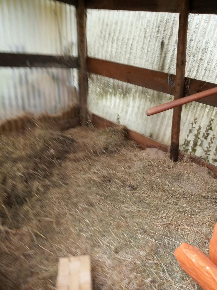 Bild 4: Häuschen mit überdachter Terrassen und offener Aussichtsterasse ist vorhanden. Es ist eingezäunt, der Zaun ist genehmigt. Parkplätze sind vorhanden. Es ist mit ca 30 - 40 Stunden Arbeit pro Woche zu rechnen.