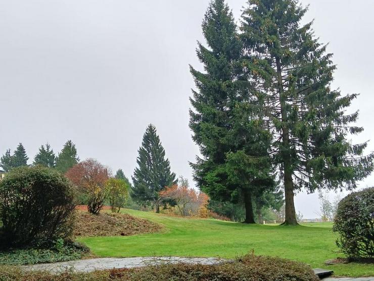 Bild 8: Schöne Ferienwohnung komplett möbliert mit Hallenbadbenutzung
