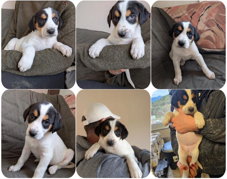 Feli – ein junger Anfang