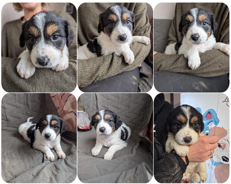 Franzi – mit ihrer Familie ins Leben gestartet