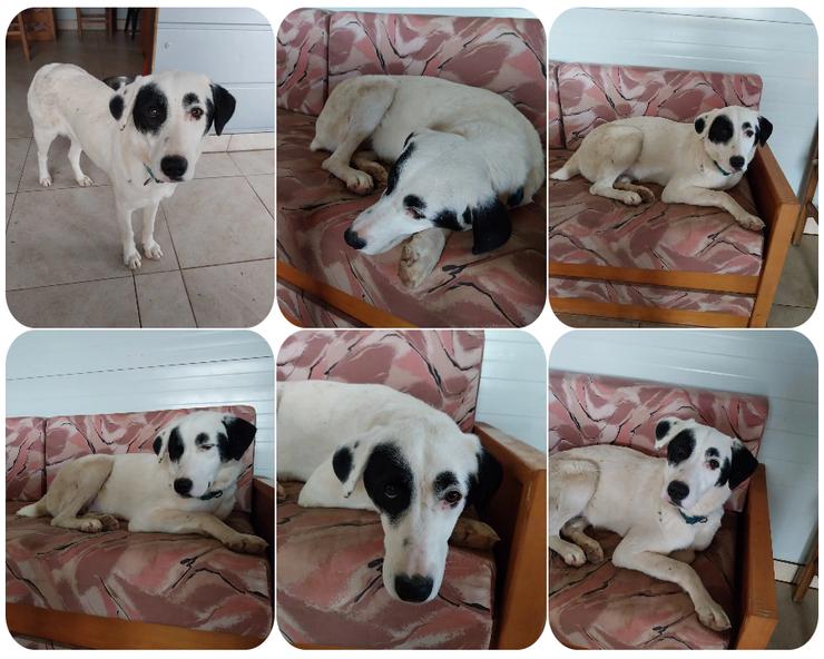 Beverly – freundlich, verspielt, mit besonderem Charme 