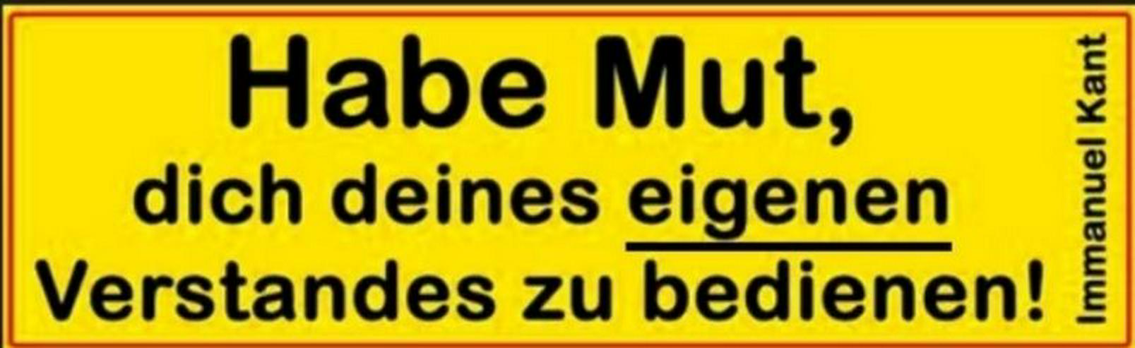 Beruflicher Werdegang