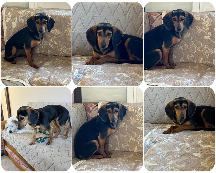 Gundi – vorsichtig und zurückhaltend