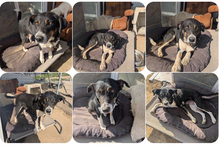 Ella – charmante Persönlichkeit mit Herz 