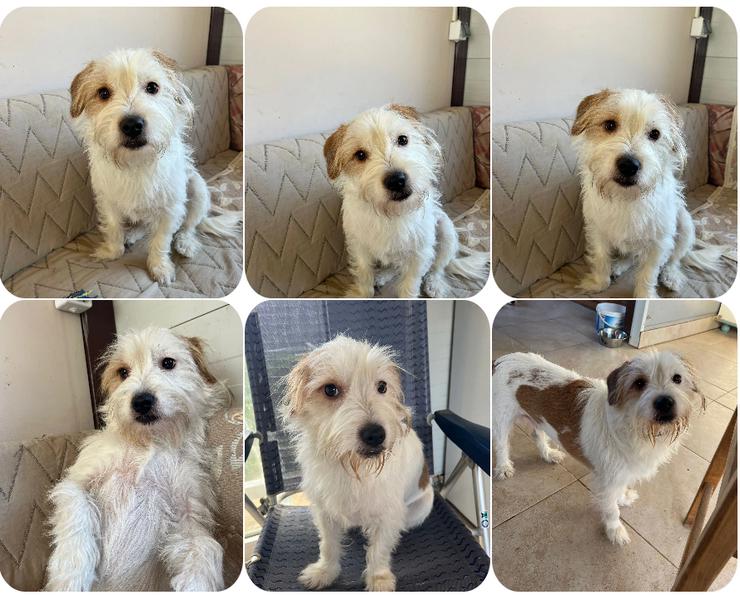 Muzie – freundlich, aufgeschlossen, möchte gefallen