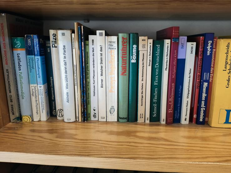 Bild 3: Reiseführer und Reisehandbücher