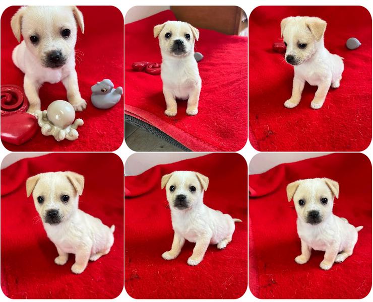 Leo – neugieriger kleiner Entdecker