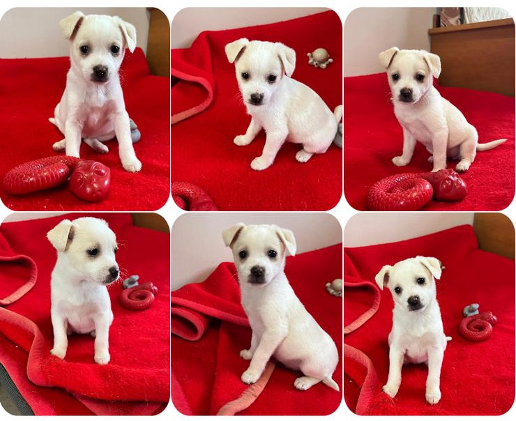 Loni – fröhlich und unbeschwert 