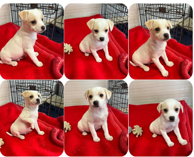 Jonas – wacher Beobachter