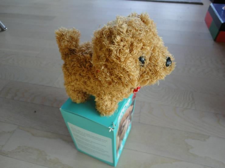 Bild 3: Robo-Welpe 2. Generation Schleife ( braune Modell) Neu / OVP