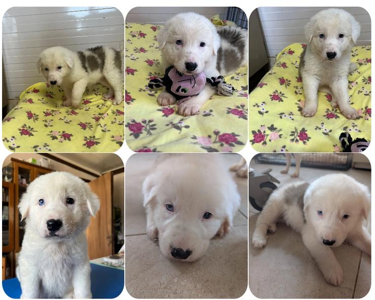 Einstein – mit den besonderen Augen