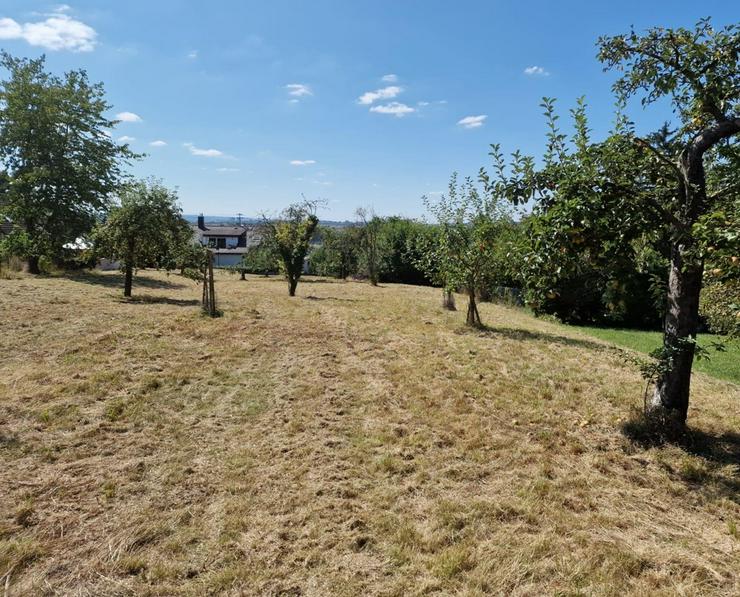 Naturnahes, großes Wiesengrundstück