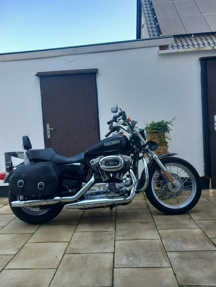 Bild 3: Harley Davidson Sportster XL 1200L