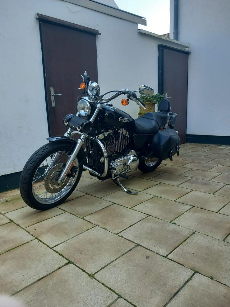Bild 2: Harley Davidson Sportster XL 1200L