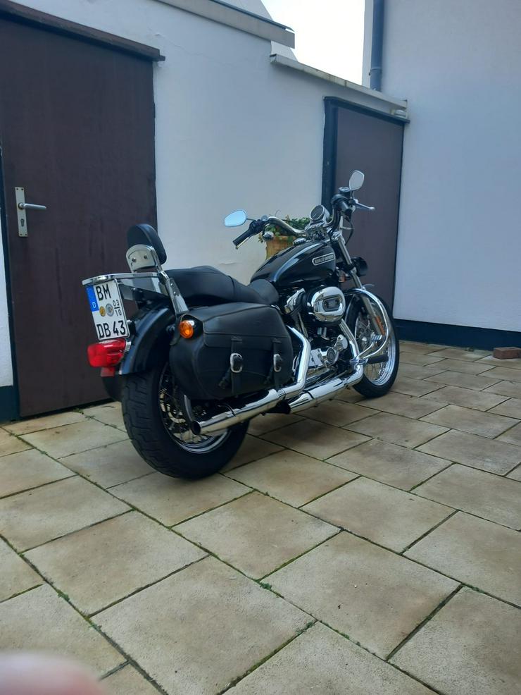 Bild 5: Harley Davidson Sportster XL 1200L