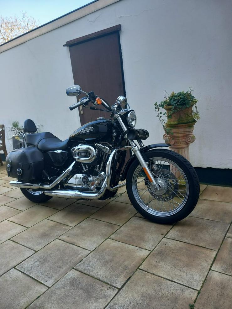Bild 4: Harley Davidson Sportster XL 1200L