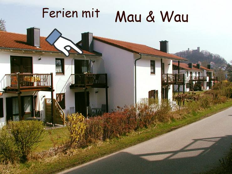 Ferien mit Mau & Wau - Luftkurort Falkenstein - Bayerischer Wald