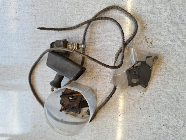 Bild 4: Kettensäge Einhell