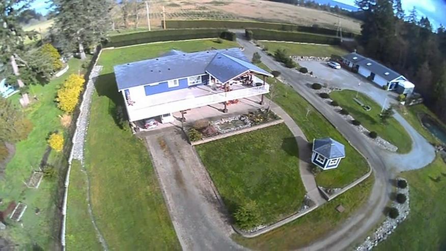 Bild 4: 2.5 sonnige Hektar  Grundstück mit Haus, separate Wohnung und drei Garagen 