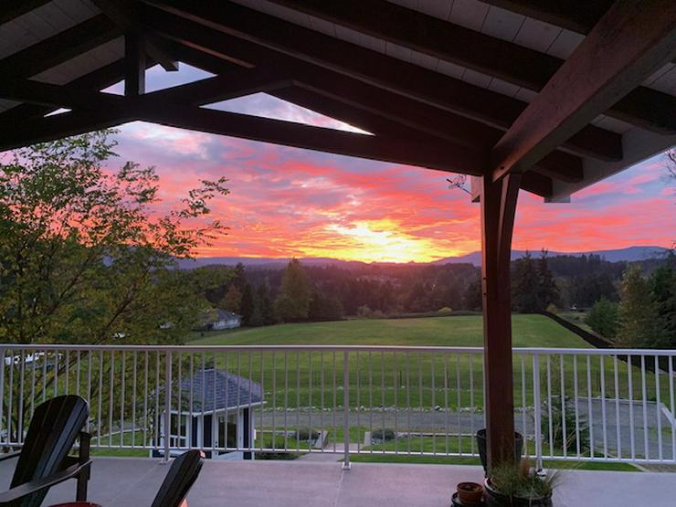 Bild 7: 2.5 sonnige Hektar  Grundstück mit Haus, separate Wohnung und drei Garagen 