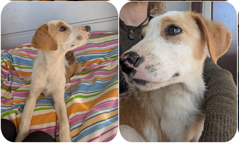 Fanni – kleines Mädchen auf der Suche nach Liebe