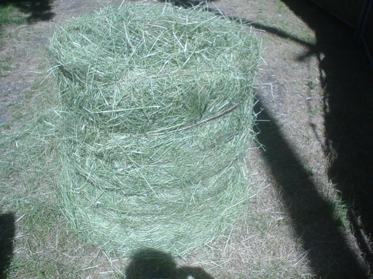 Bild 3: Heuballenpresse - Rundballen