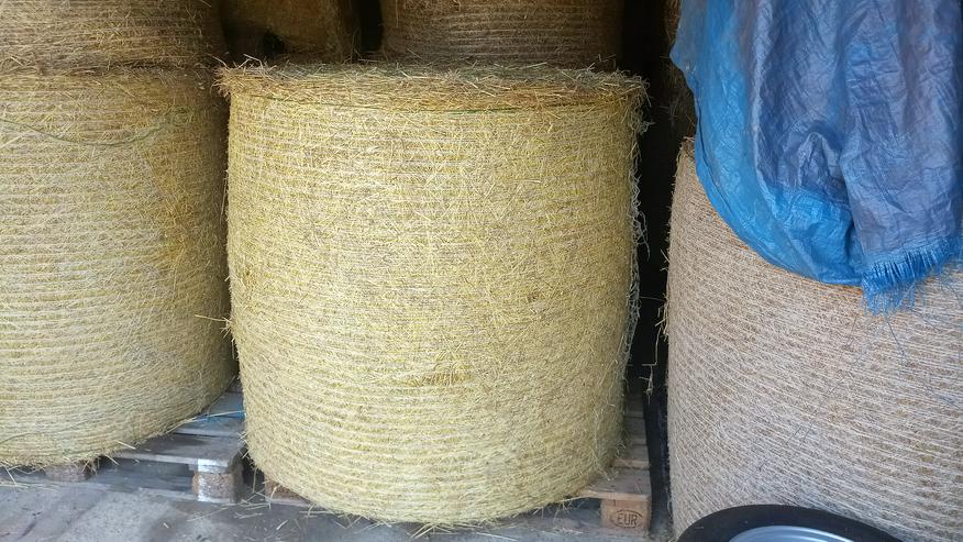 Heu Rundballenheu Heuballen Transport