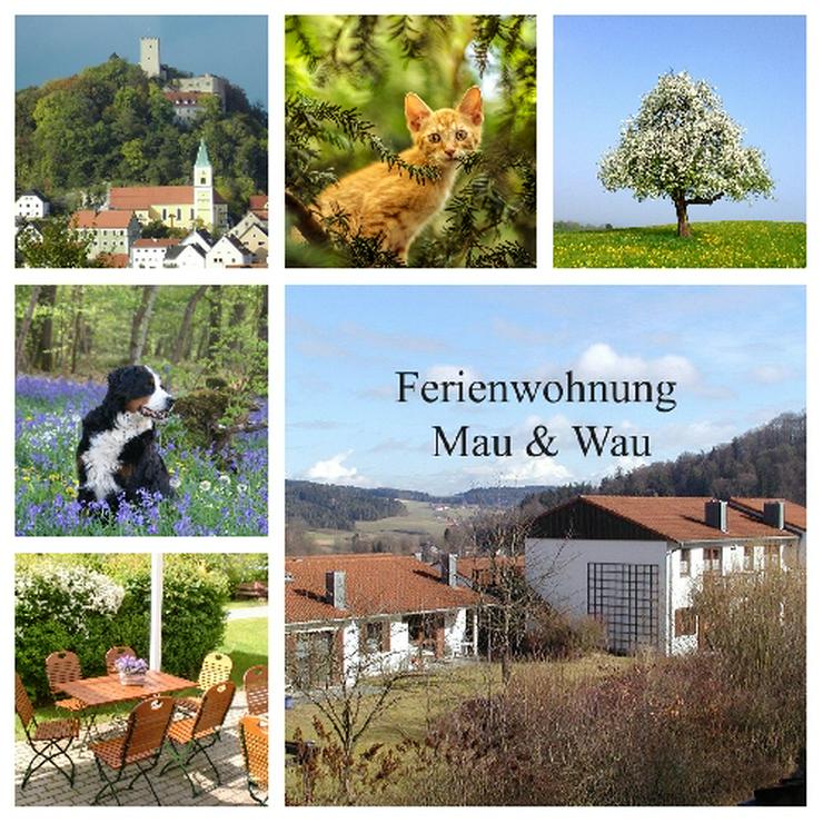 Ferien mit Mau & Wau - Luftkurort Falkenstein - Bayerischer Wald - Bayern - Bild 1