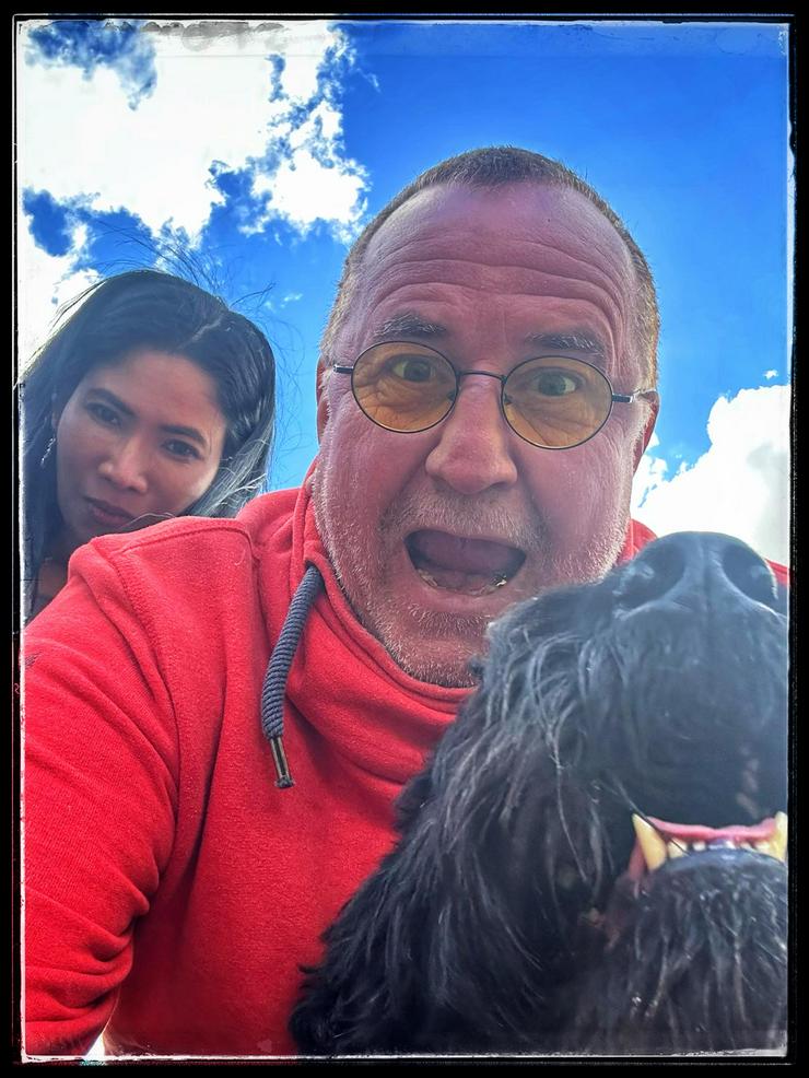 Bild 6: Riesenschnauzer Rüde 5 Jahre 