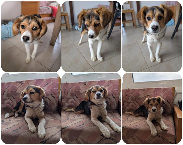 Eleni – bereit für gemeinsame Abenteuer