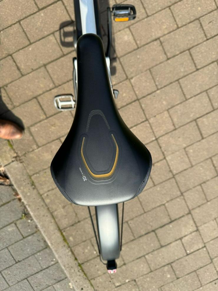 Bild 3: Riese und Müller Load 60 Vario, Lastenrad/Cargobike