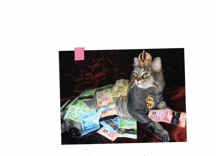 Hochglanzbild auf Fotopapier