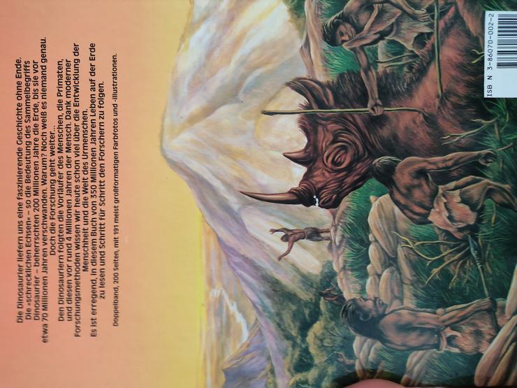 Bild 7: Dinosaurier Figuren