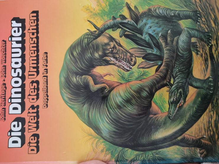 Bild 6: Dinosaurier Figuren