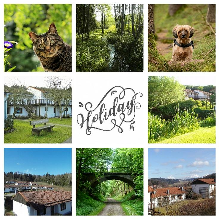 Ferien mit Mau & Wau - Luftkurort Falkenstein - Bayerischer Wald