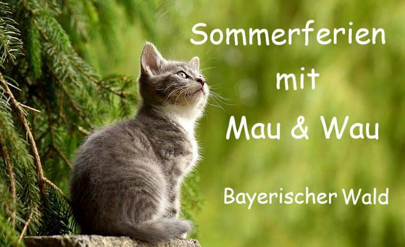 Ferien mit Mau & Wau - Luftkurort Falkenstein - Bayerischer Wald