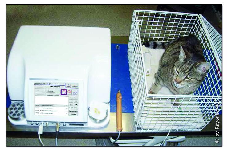 Bild 2: Bioresonanz-Haaranalyse