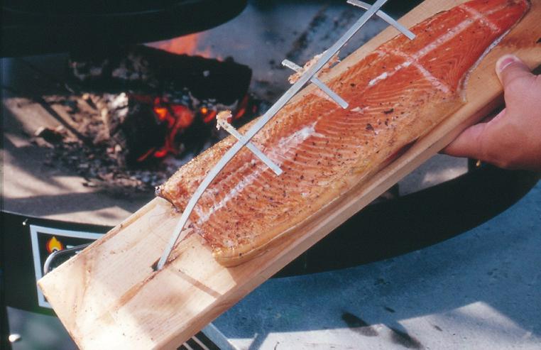 Bild 18: Grillkota, Grillkota günstig, Grillkota offen