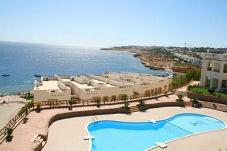 Bild 5: Meerblickapartments im Sharks Bay Resort - bezugsfertig - Sharm El Sheikh