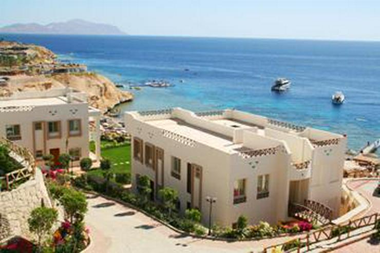 Meerblickapartments im Sharks Bay Resort - bezugsfertig - Sharm El Sheikh - Auslandsimmobilien - Bild 6